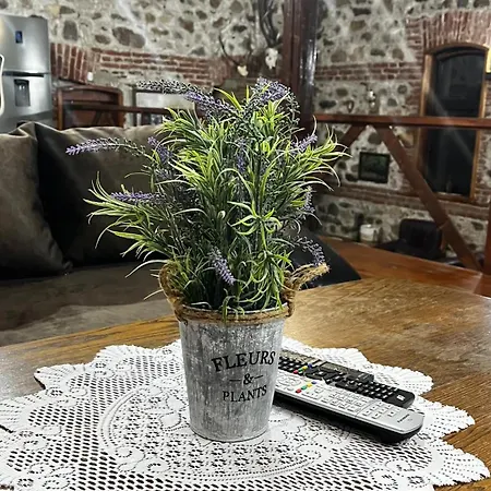 мелницата בית הארחה