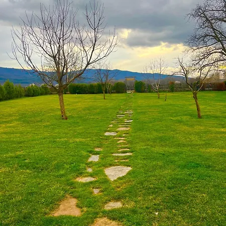 мелницата *
